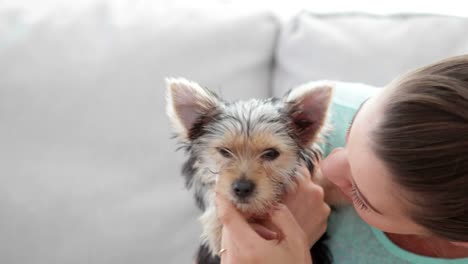 Woman-cuddling-her-cute-yorkshire-terrier-puppy-on-sofa