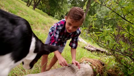 Junge-mit-fehlenden-Zähne-Lächeln-ganze-spielen-mit-seinen-Welpen-Hund