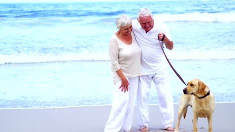 Gerne-älteres-Paar-spielen-mit-Hund-am-Strand