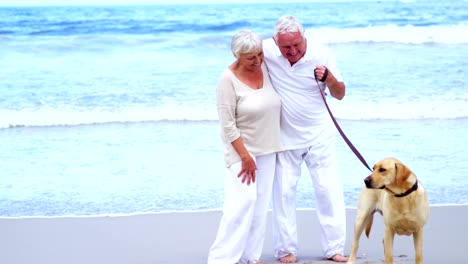 Happy-senior-couple-playing-with-dog-on-the-beach