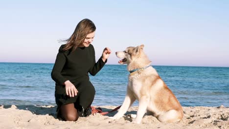 Junge-Hündin-gibt-hohe-fünf-mit-sibirischen-Husky-Hund-am-Strand