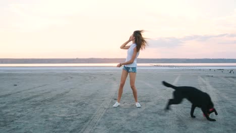 Junge-Frauen-spielen-und-training-Labrador-Retriever-Hund-am-Strand-bei-Sonnenuntergang