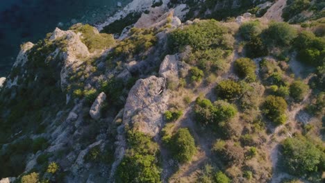 Runner-exulting-on-top-of-a-cliff-in-front-of-the-ocean