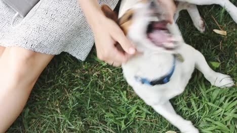 Mujer-jugando-con-el-perro-en-la-hierba