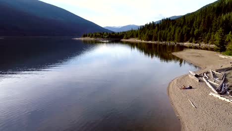 Frau-mit-ihrem-Hund-sitzen-nahe-der-Küste,-Fluss-an-einem-sonnigen-Tag-4K-4k