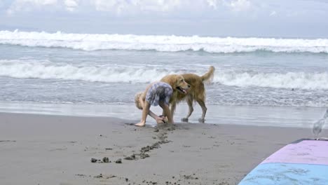 Liebenswert-Kind-und-Hund-am-Strand-spielen