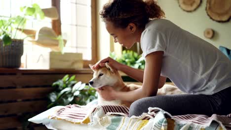 Cheerful-African-American-teenager-pretty-girl-is-snuggling-cute-puppy-and-kissing-it-sitting-on-bed-at-home.-Large-windows,-green-plants-and-modern-linen-is-visible.