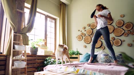 Funny-African-American-girl-is-having-fun-listening-to-music,-jumping-and-dancing-on-bed,-singing-in-hair-dryer-with-beautiful-shiba-inu-dog-walking-on-bed.