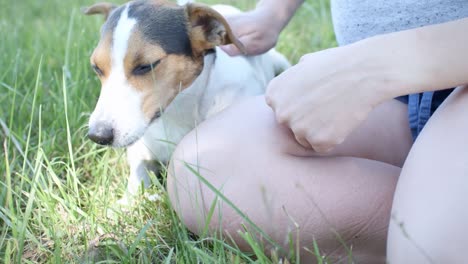 Frau-mit-ihrem-Hund-auf-dem-Rasen