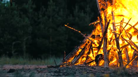 Big-Campfire-from-Branches-Burn-at-Night-in-the-Forest