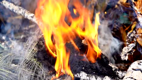 Fire-slow-motion-burning-on-garbage-pile-to-air-pollution