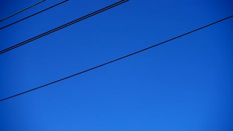 Cables-sobre-el-camino-ferroviario.-Tiro-en-movimiento.