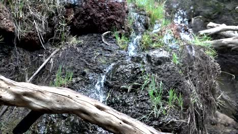 Wasserfall-im-Regenwald-in-Zeitlupe-250fps