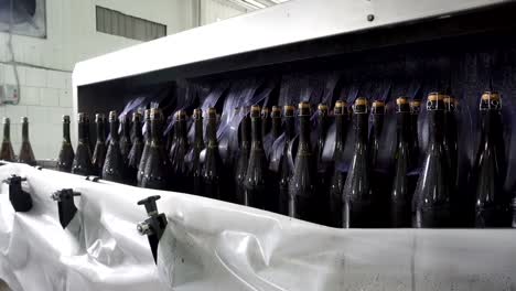 Tendedero-para-botellas-y-embotellado-de-transportador-de-champagne-en-la-fábrica