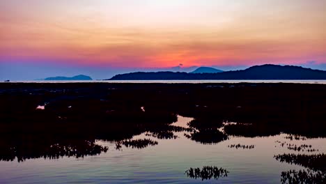 Schöne-Korallen-Riff-bei-Ebbe-Wasser-im-Meer-in-Phuket-Insel-schöne-leichte-Sonnenaufgang-4K-Zeit-verfallen-Nacht-zu-Tag-Schuss