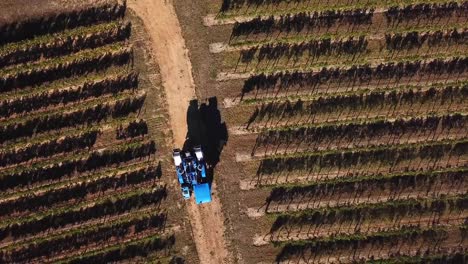 Máquina-cosecha-uva,-vista-aérea-del-país-del-vino-cosecha-de-la-uva-con-la-máquina-segador,-zángano-de-la-vista-del-paisaje-de-viñedos-de-Bordeaux,-Francia