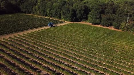 Máquina-cosecha-uva,-vista-aérea-del-país-del-vino-cosecha-de-la-uva-con-la-máquina-segador,-zángano-de-la-vista-del-paisaje-de-viñedos-de-Bordeaux,-Francia