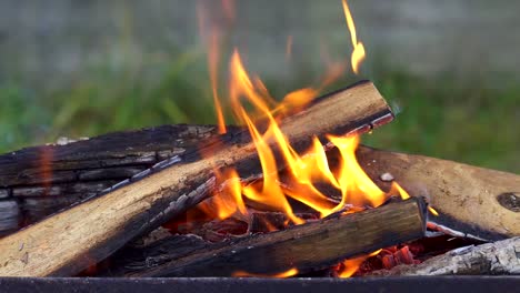burning-firewood-in-the-grill