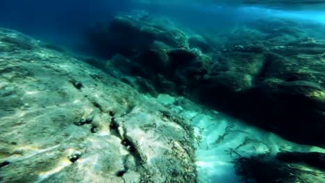 scuba-diving-underwater-4k