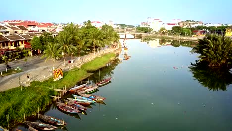 flight-along-waterfront-with-large-palms