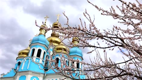 Orthodox-temple,-Clouds-above-the-temple,-golden-domes,-Timelapse,-exterior,-a-view-from-below,-View-through-the-branches-of-a-flowering-tree,-spring-landscape,-Blooming-tree