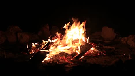 Lagerfeuer-brennen-Bäume-in-der-Nacht.-Feuer-brennt-hell,-Wärme,-Licht,-camping