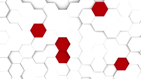 white-minimal-polygonal-grid-pattern-with-some-color-elements