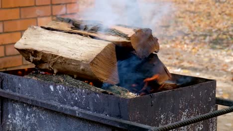 Feuer,-Protokolle-In-einem-Kohlenbecken-brennen