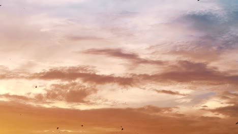 Flying-birds-on-the-beautiful-sunset-sky-in-4k-slow-motion-60fps