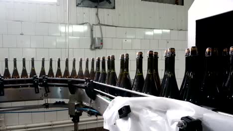 Washing-line-for-bottles-and-bottling-of-champagne-conveyor-at-the-factory