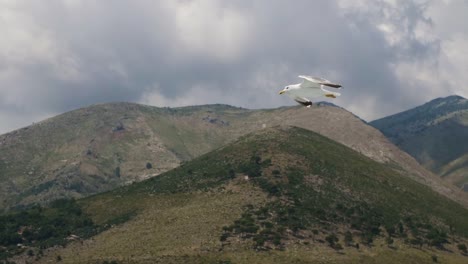 Seagulls-fly-in-the-sky-over-the-sea-from-a-ship-in-Italy.