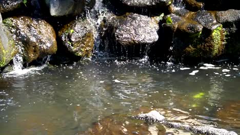 Agua-que-fluye-en-un-arroyo-en-cámara-lenta-180fps