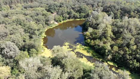 The-river-bed-is-a-top-view-from-the-drone