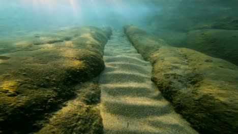 scuba-diving-underwater-4k