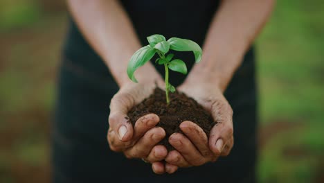 Caring-for-Mother-Earth