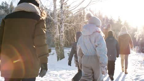 Familie-mit-sieben-Genossen-Winterwanderung