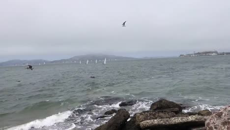 Time-lapse-in-San-Francisco-Bay