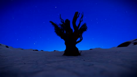 Dead-Tree-against-Snowing-Starry-Sky,-panning-4K