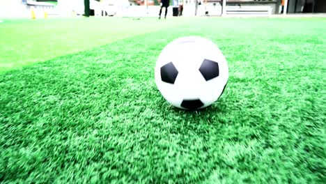 Jugadores-de-fútbol-practican-fútbol-en-césped-verde.