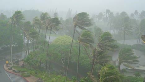 Tropischer-Sturm-mit-Regen-und-starkem-Wind-schlagen-Insel