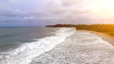 The-flight-above-the-ocean-shore-with-palms