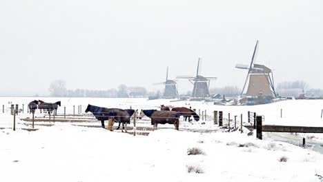 Snowing-in-the-countryside-from-the-Netherlands