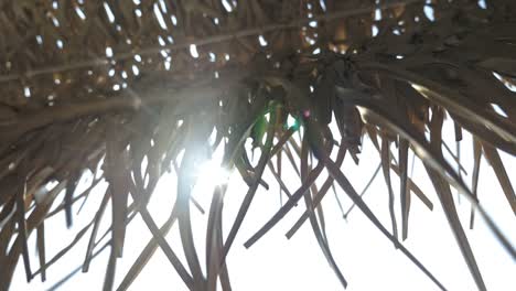 Tiki-Beach-Umbrella-Frills-and-Sunshine