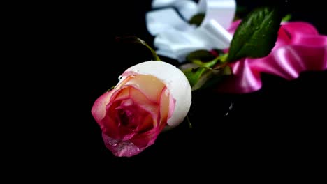 The-satin-ribbon-falls-on-a-rose.-Slow-motion.