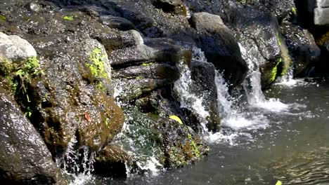 Water-flowing-in-brook-in-slow-motion-180fps