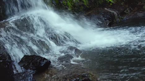 Waterfall-in-the-forest.-Waiau-Falls