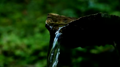 Wasser-strömt-durch-einen-Baum-im-Wald,-die-Quelle-des-Wassers-ist-ein-Gebirgsbach-fließt-in-den-Bergen-auf-einem-Campingplatz,-Slow-Motion.