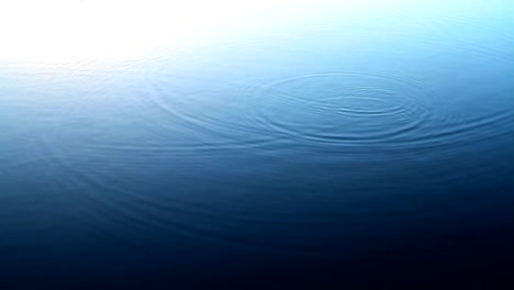 Water-Ripples-created-by-the-Fishes-at-the-lake