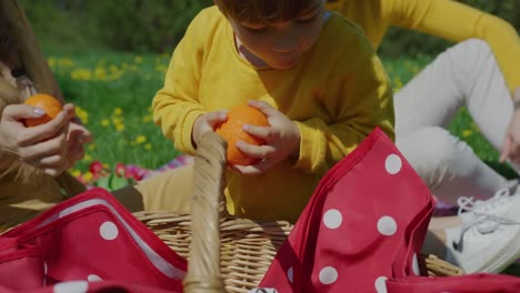 Junge-nimmt-Früchte-aus-Picknickkorb