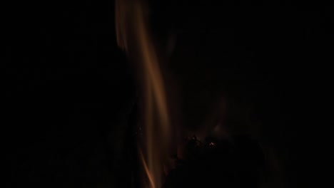 wood-burning-in-the-fireplace-macro-closeup